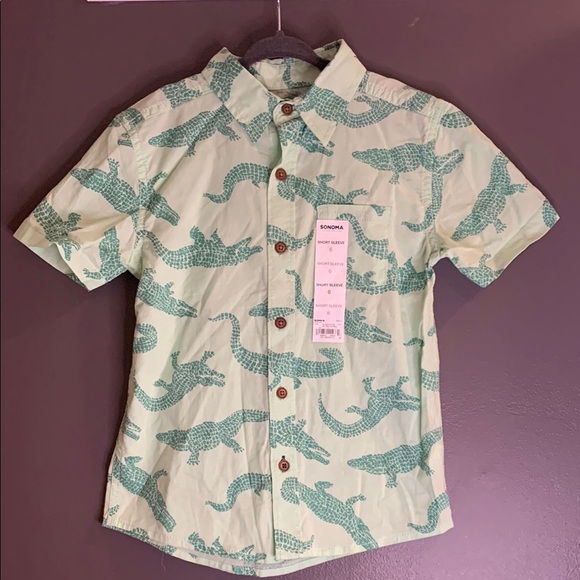 Sonoma Other - Sonoma Green Button Down Shirt with Dinosaur Print size 6